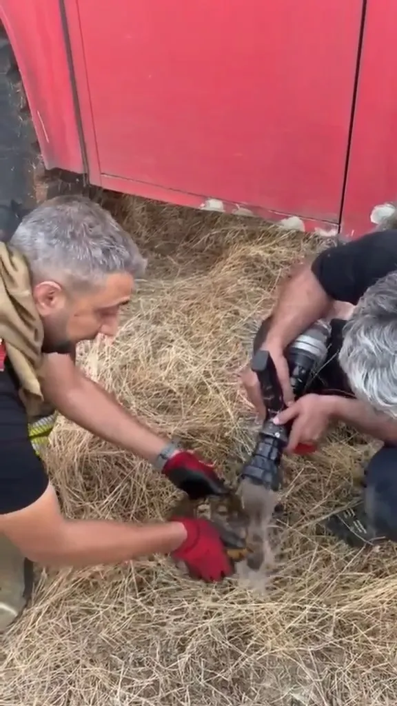 Lice kırsalında çıkan yangın 450 dönüm alanı küle çevirdi