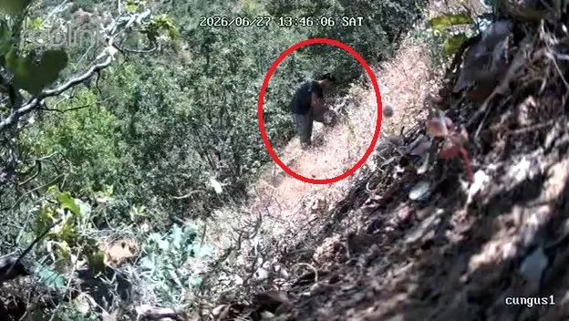 Çüngüşte ormanda kenevir sulayan CHP ilçe başkanı ile oğlu yakalandı
