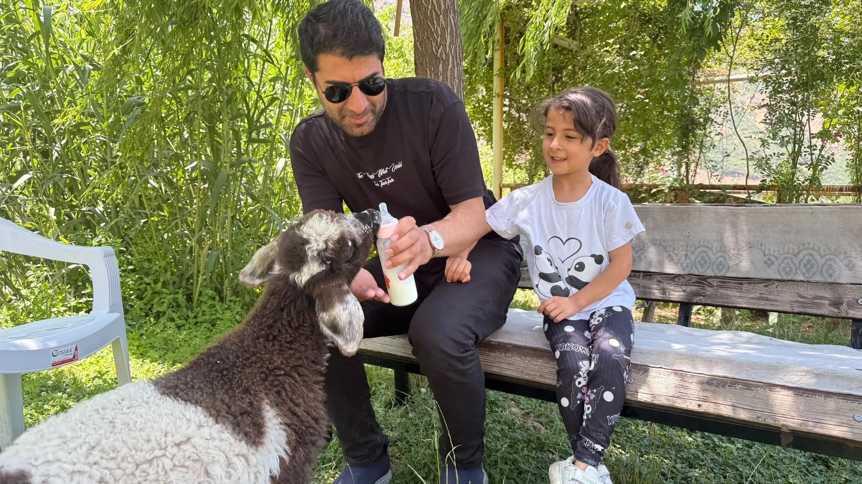 Hakkari'de öksüz kuzu Arif ailenin bir parçası oldu