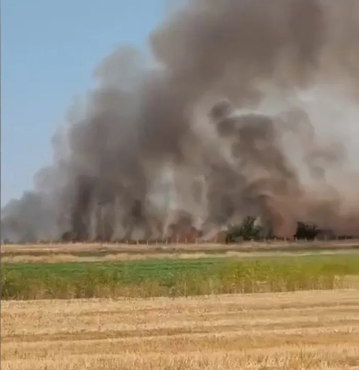 Şanlıurfa'da arazi kavgası silahlı çatışmaya dönüştü