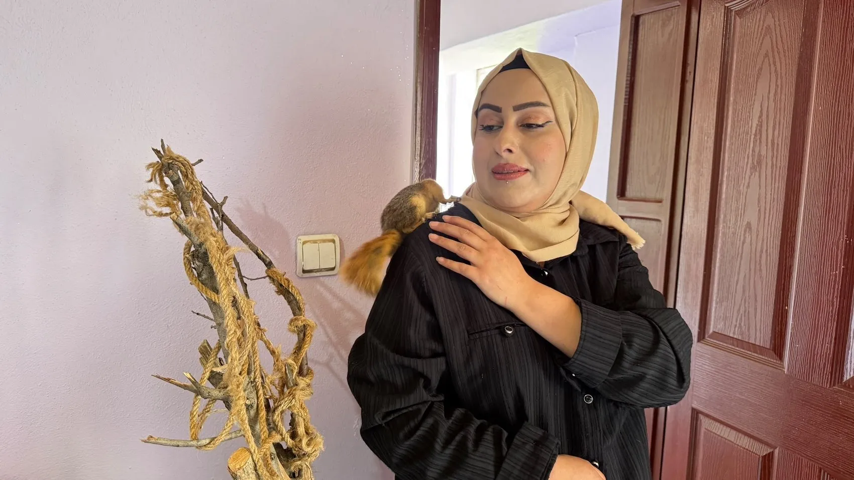 Hakkari'de bir kuaförün kurtardığı sincap evden ayrılmıyor