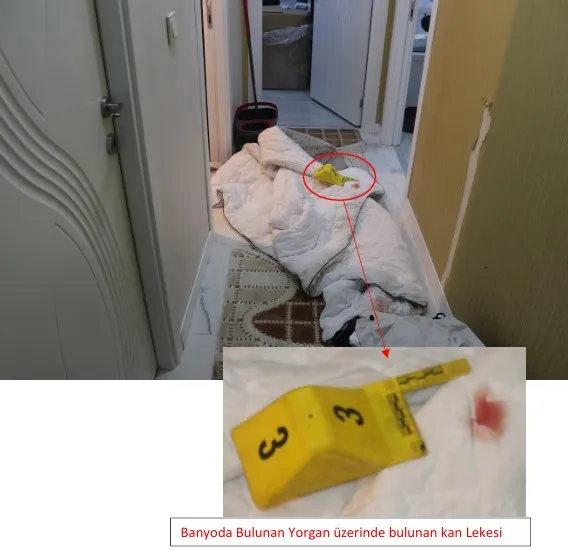 Ejegül Ovezova davasında sanık Cemil Koç ölümün intihar olduğunu savundu