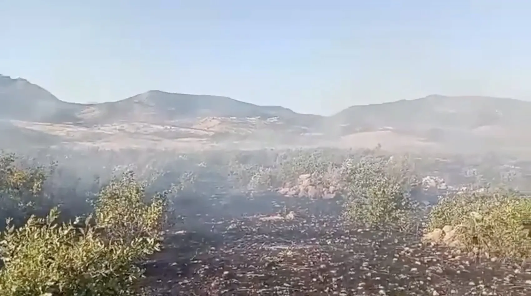 Dicle kırsalında kontrol altına alınmaya çalışılan alevler paniğe neden oldu?