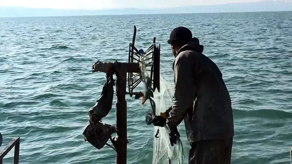 Van Gölünde inci kefali avcılığı yasağı kalktı balıkçılar göle açıldı
