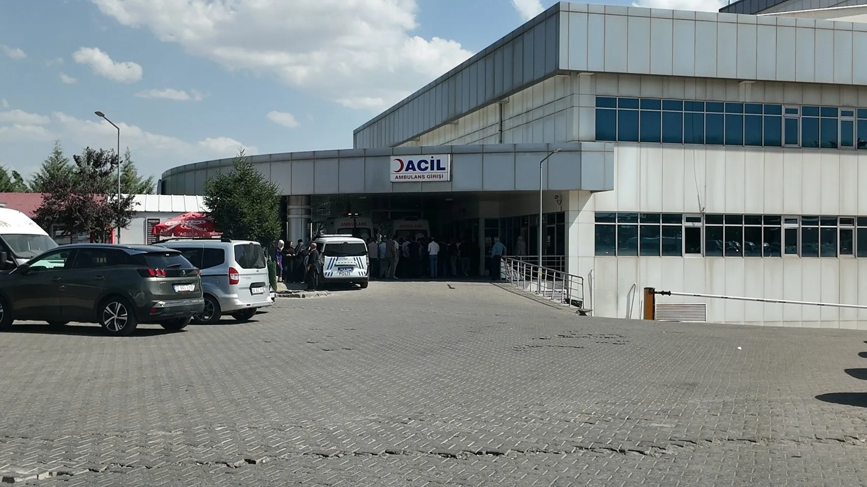 Karlıova köyünde husumetli ailelerin silahlı kavgasında 9 kişi yaralandı