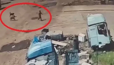 Silopi'de köpeklerin kovaladığı küçük çocuğu babası ve amcası son anda kurtardı