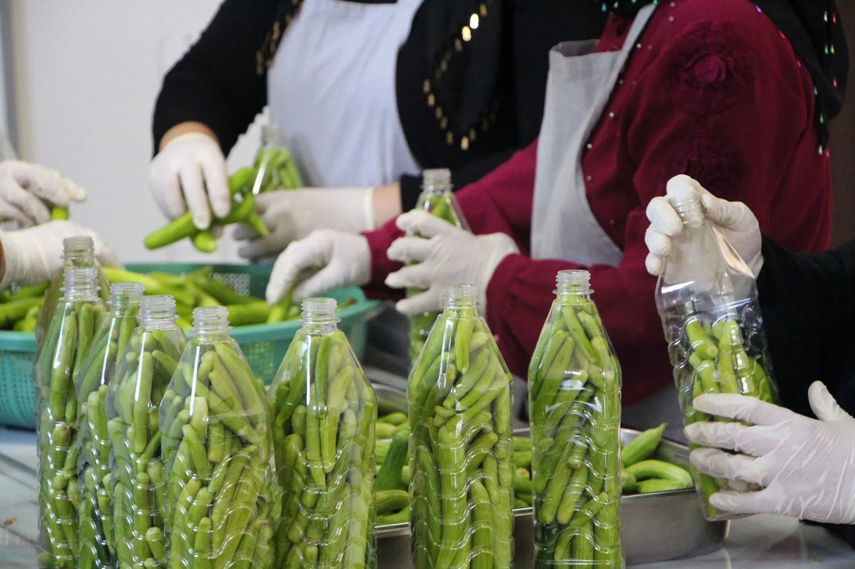 Midyatlı kadınlar tescilli acurları beş tonluk turşuya dönüştürüyor