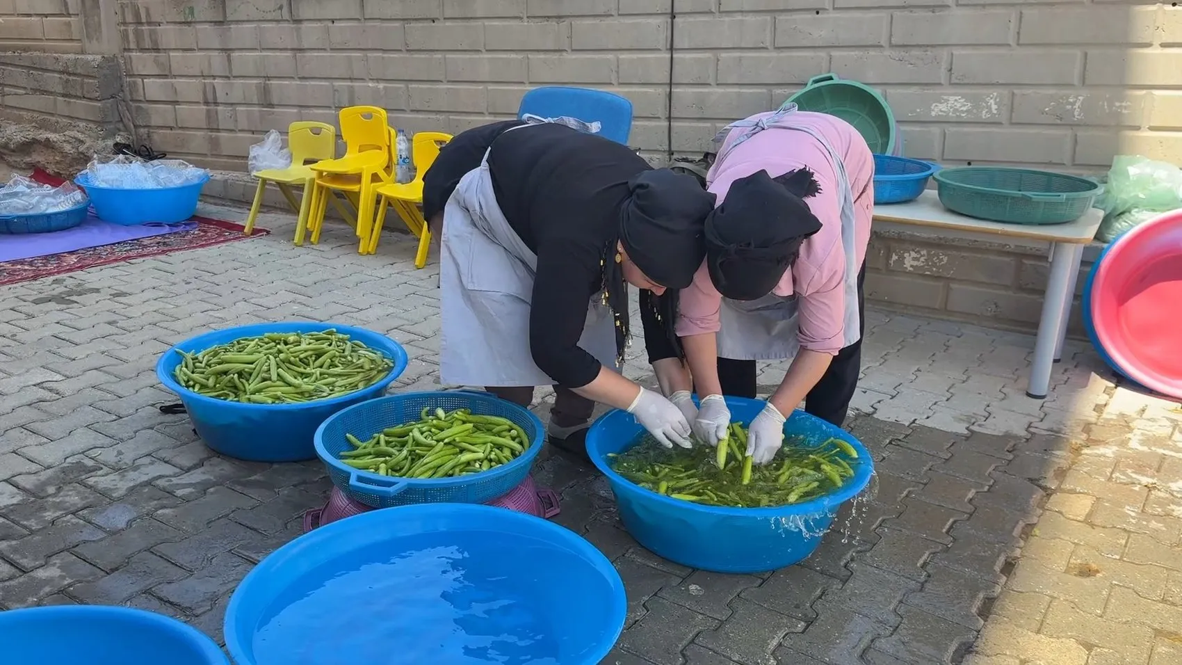 Midyatlı kadınlar tescilli acurları beş tonluk turşuya dönüştürüyor