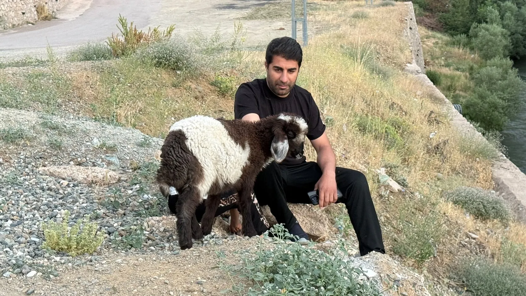 Hakkari'de öksüz kuzu Arif ailenin bir parçası oldu