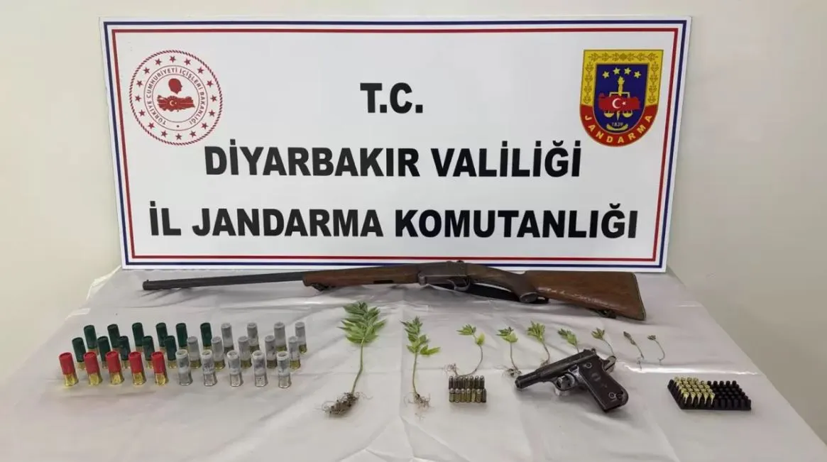 Çüngüşte ormanda kenevir sulayan CHP ilçe başkanı ile oğlu yakalandı