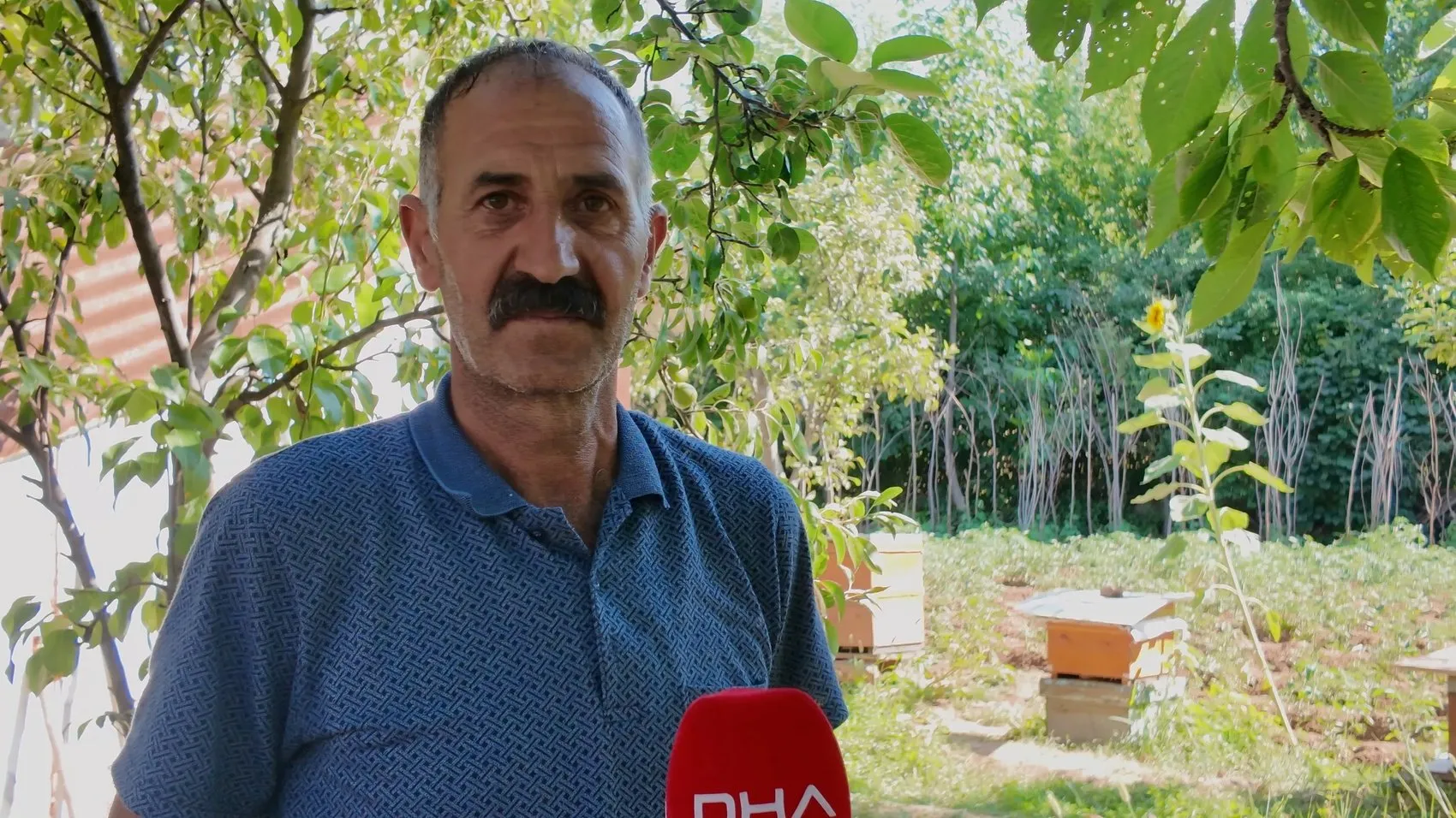 Bingöllü arıcının muzlu beslenme yöntemi kovan sayısını artırdı