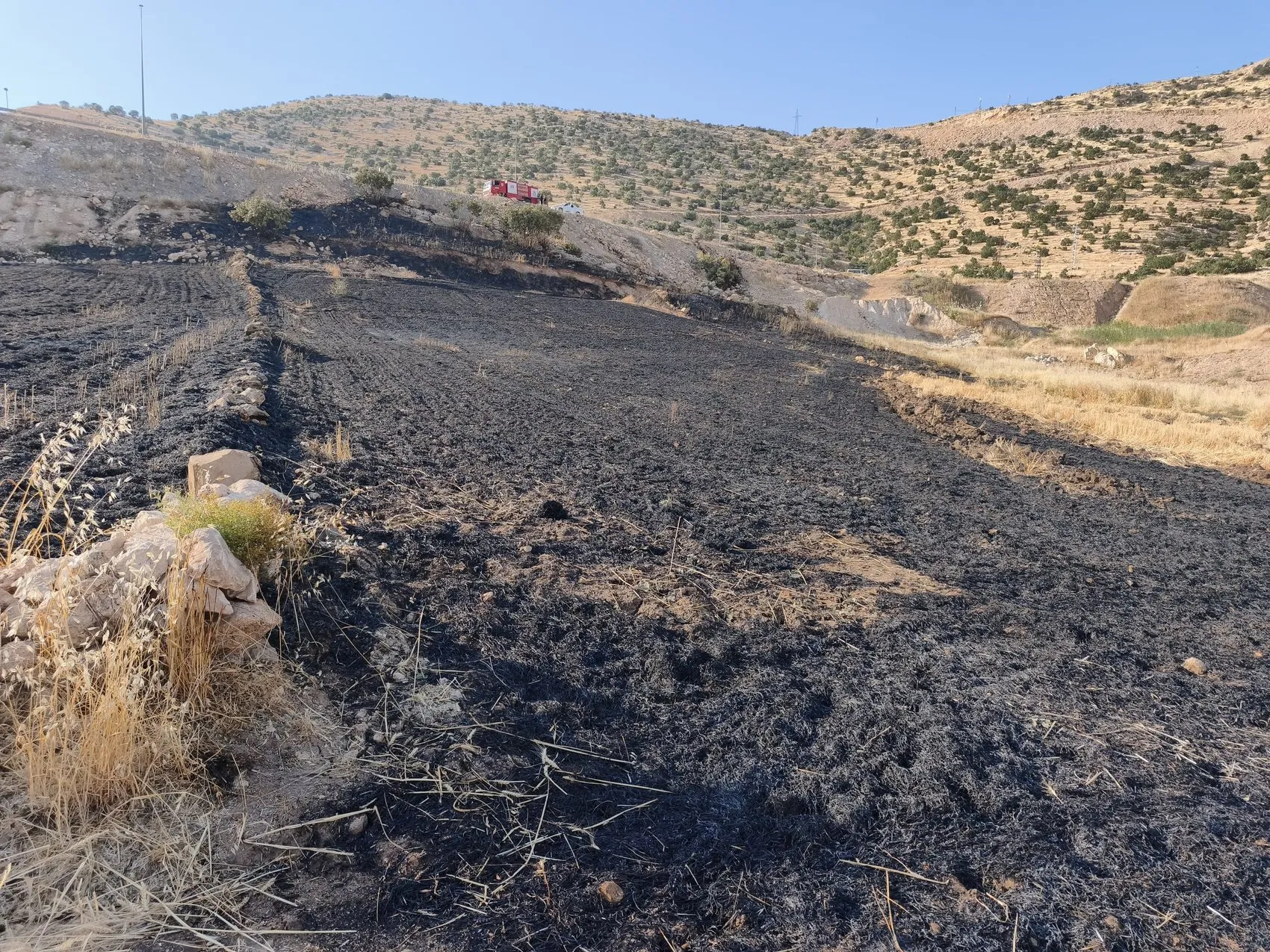Şırnak Cizre’de arazide dinlenen çoban anız yangınının ortasında kaldı