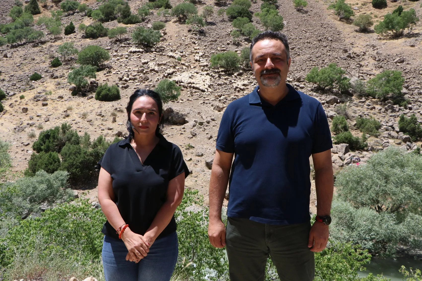 Van'da Norduz koyunları dijital teknolojilerle takip altına alınıyor
