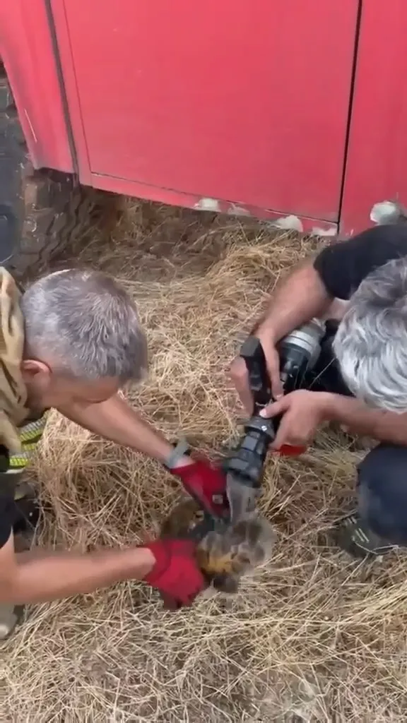 Lice kırsalında çıkan yangın 450 dönüm alanı küle çevirdi