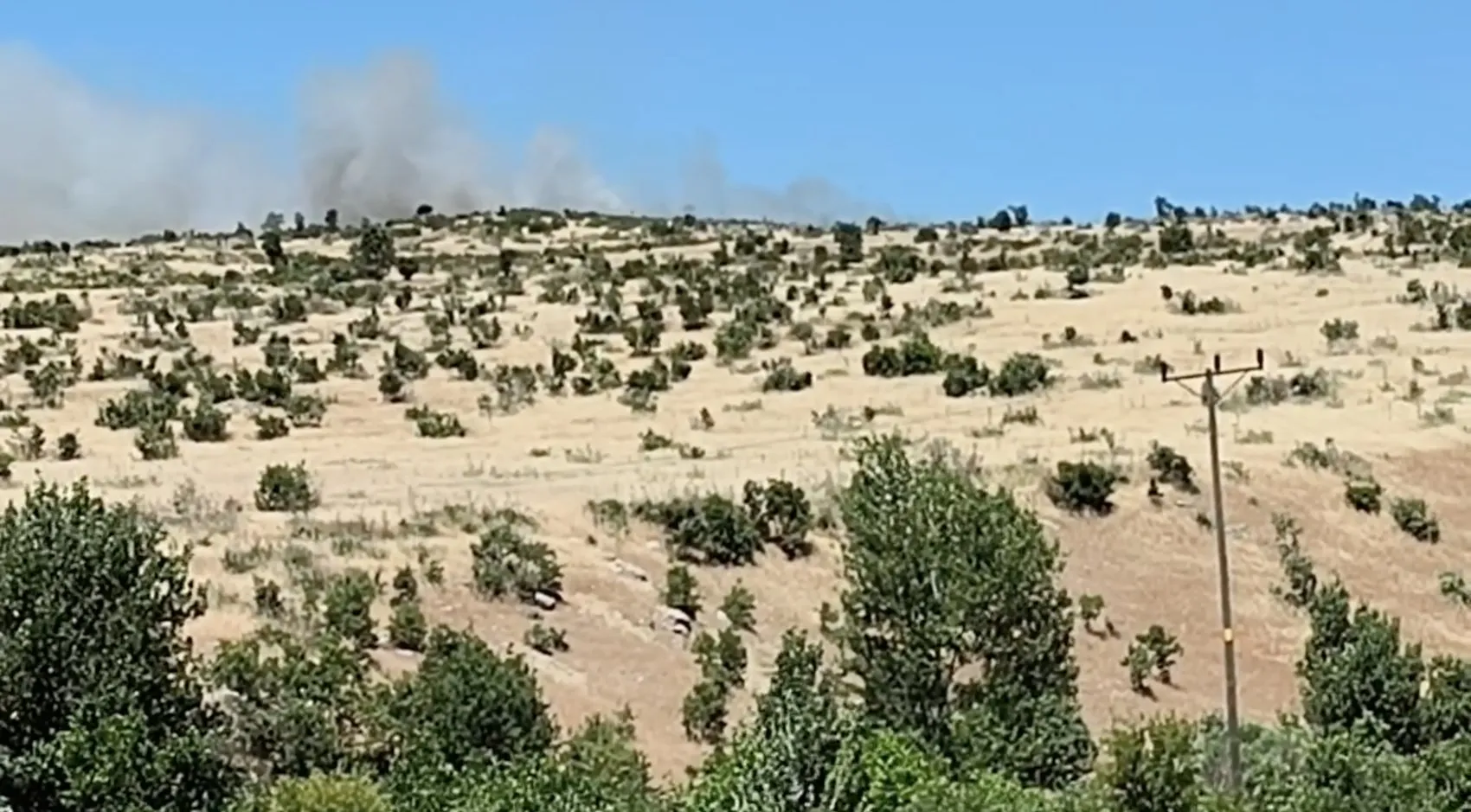 Dicle kırsalında kontrol altına alınmaya çalışılan alevler paniğe neden oldu?