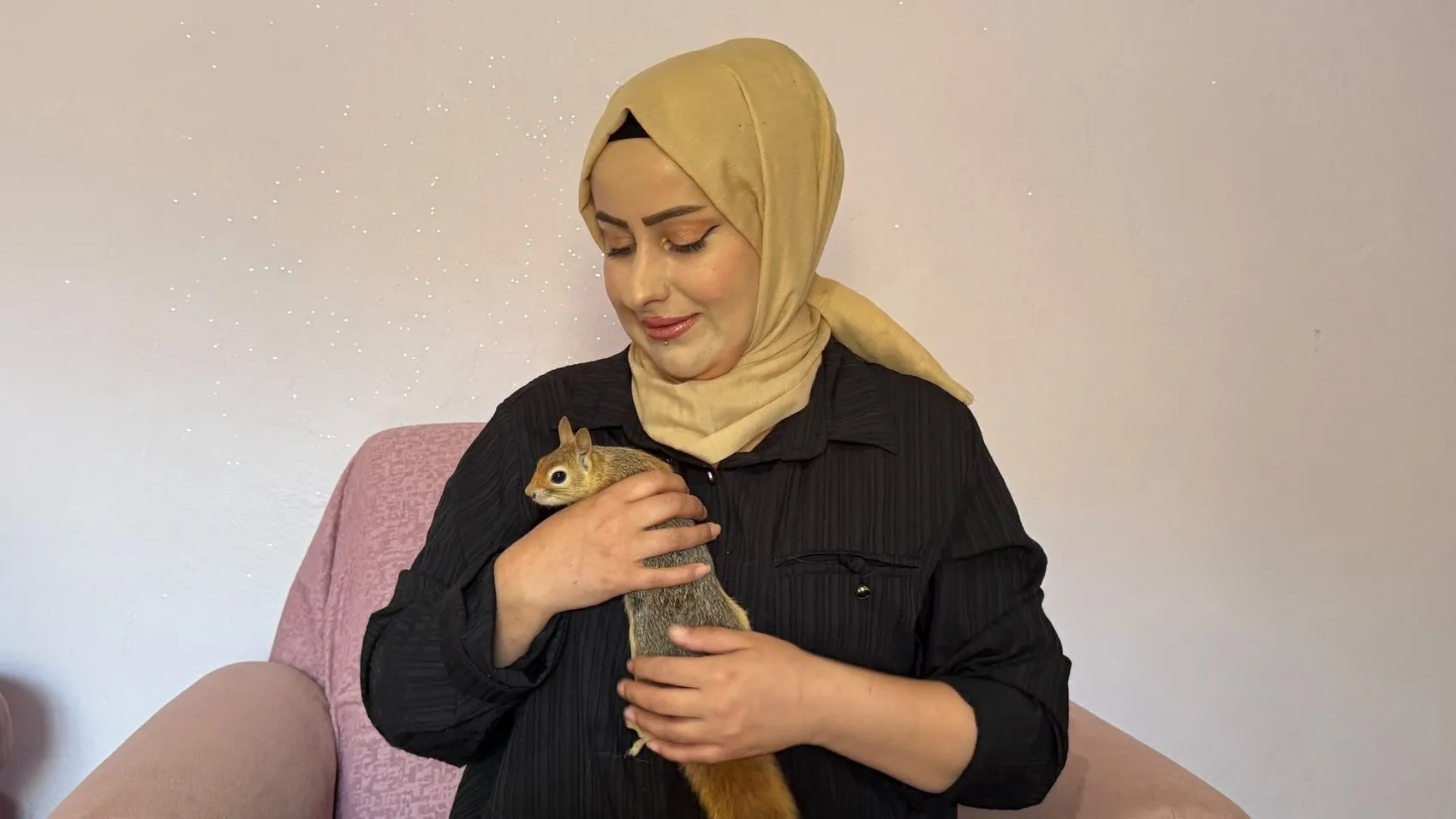 Hakkari'de bir kuaförün kurtardığı sincap evden ayrılmıyor