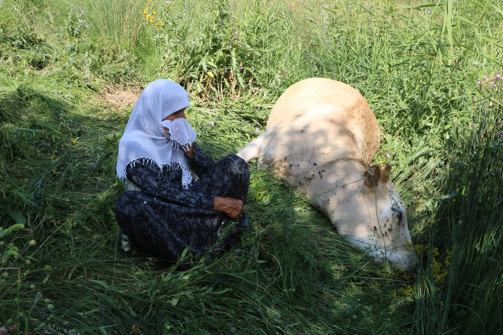 Yüksekova'da tek geçim kaynağını kaybeden aileye yardım eli uzandı