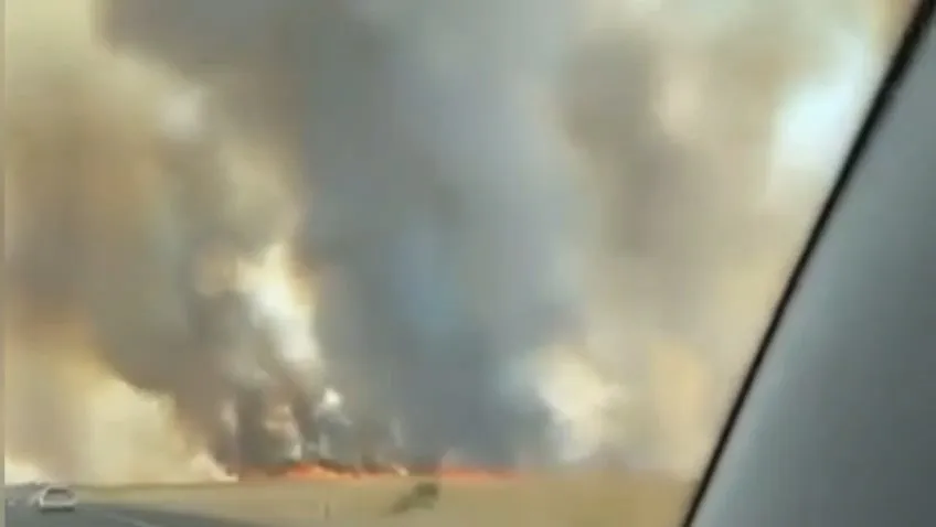 Nusaybin sınırındaki mayınlı alanda anız yangını trafiği aksattı