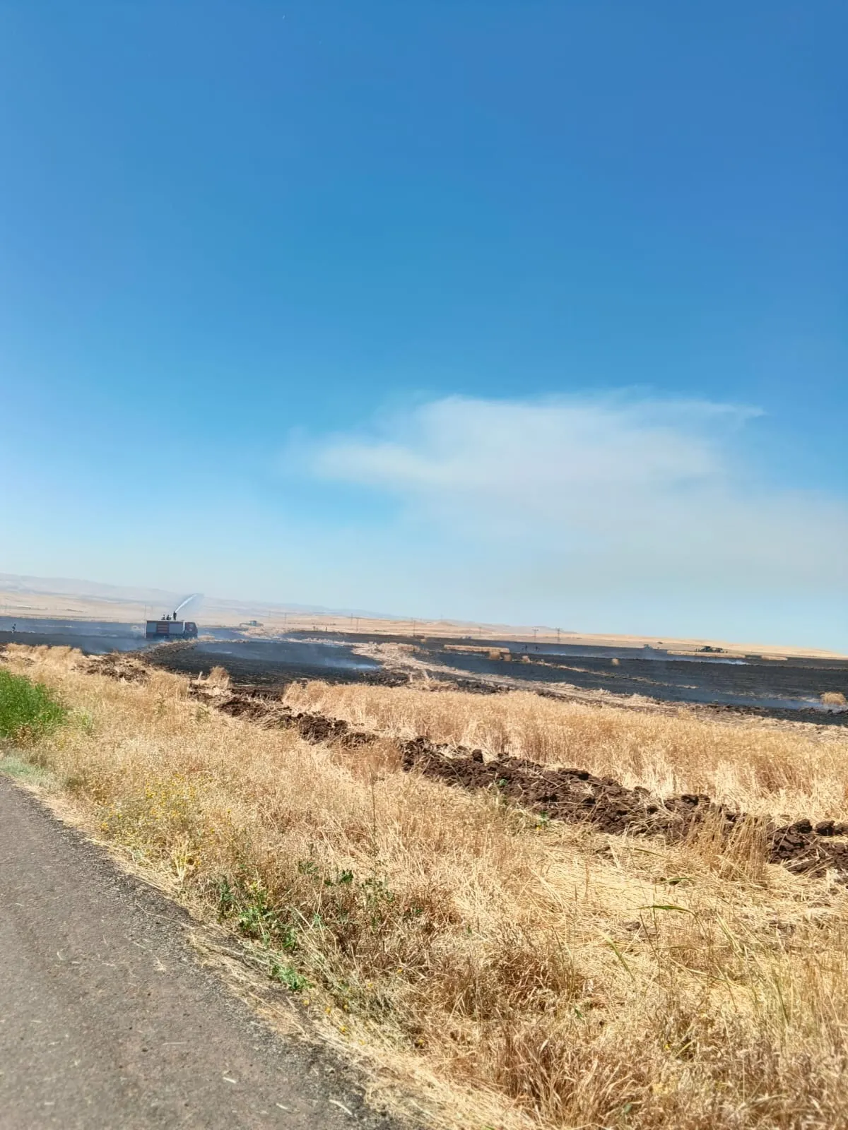 Siirt Kurtalan'da hasat öncesi büyük buğday tarlası yangını