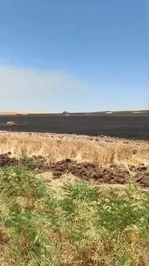 Siirt Kurtalan'da hasat öncesi büyük buğday tarlası yangını