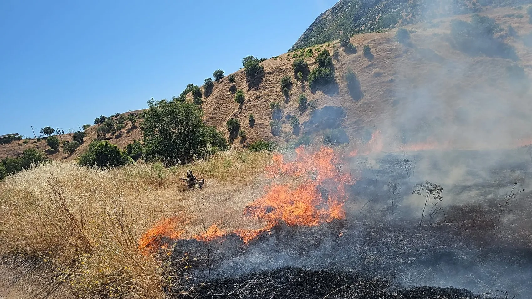 Dicle kırsalında örtü yangını paniği