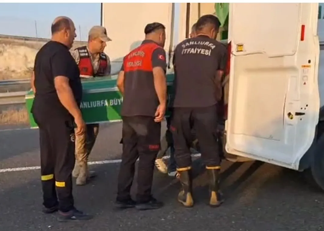 Şanlıurfa yolunda feci kaza 3 kişi hayatını kaybetti