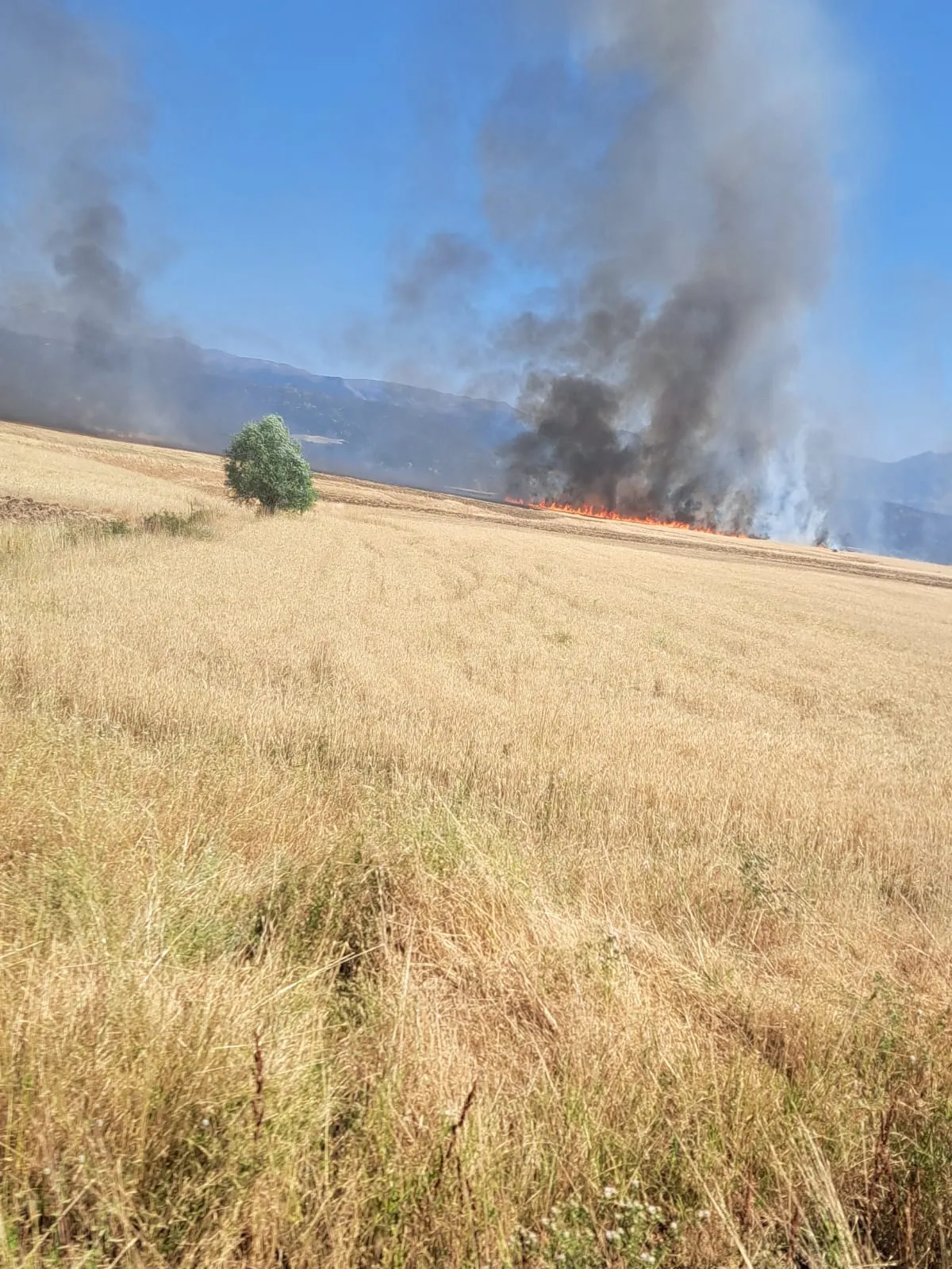 Bingöl'de anız yangınına müdahale eden 4 itfaiyeci dumandan etkilendi