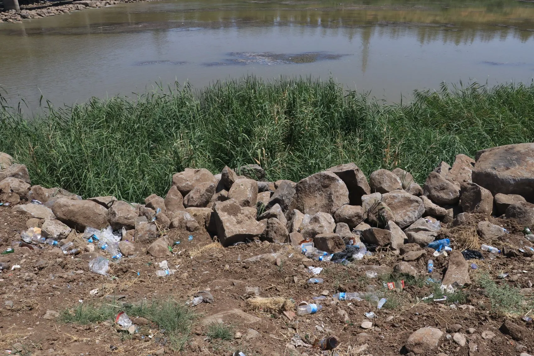 Dicle Nehri kıyısındaki plastik atıklar doğaya ve canlılara zarar veriyor