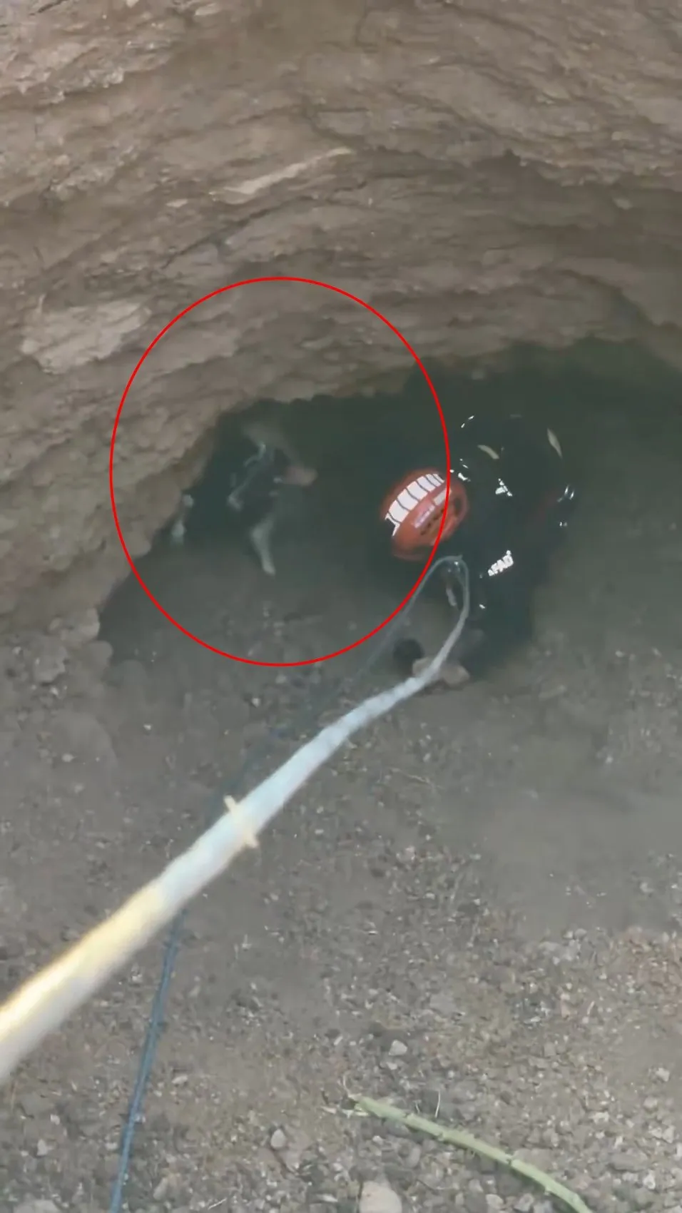 Kışlacık köyündeki obrukta kalan keçi AFAD sayesinde sahibine döndü
