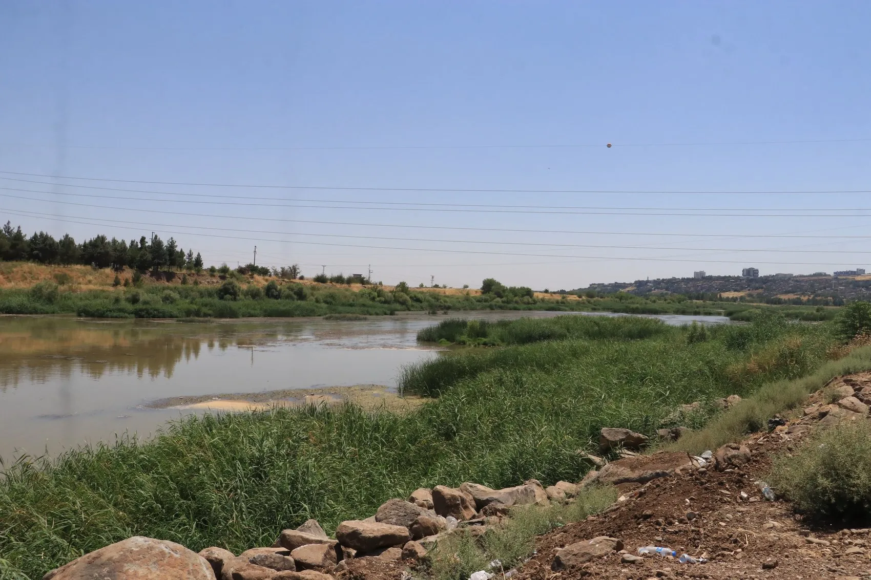 Dicle Nehri kıyısındaki plastik atıklar doğaya ve canlılara zarar veriyor