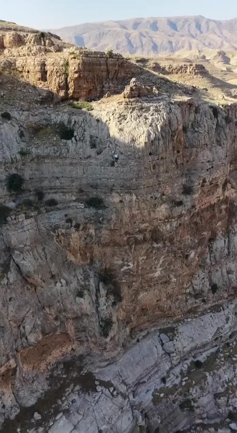 Batmanlı öğretmen yüzlerce metre yükseklikte kaya balı topluyor
