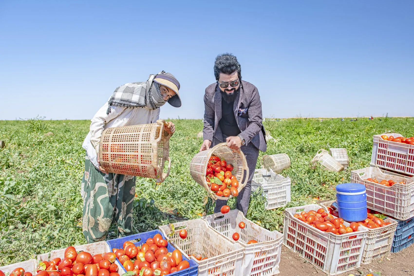 Diyarbakır Karacadağ domatesleri dünya mutfaklarına lezzet taşıyor