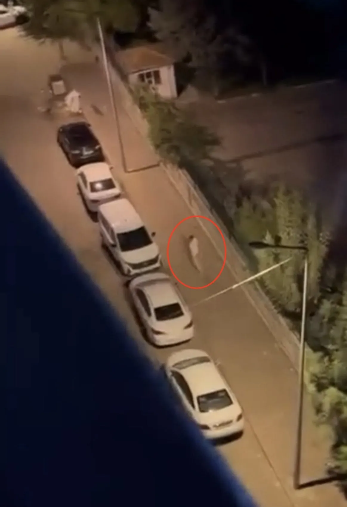 Bağlar'da sokak kavgası cep telefonuyla saniye saniye kaydedildi