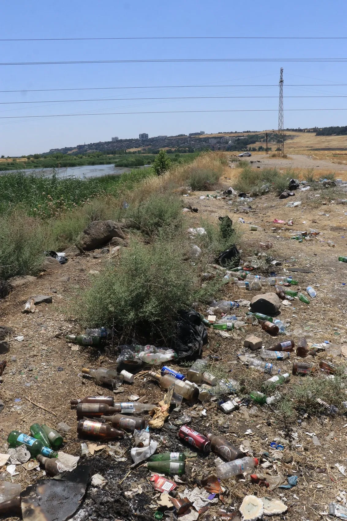 Dicle Nehri kıyısındaki plastik atıklar doğaya ve canlılara zarar veriyor
