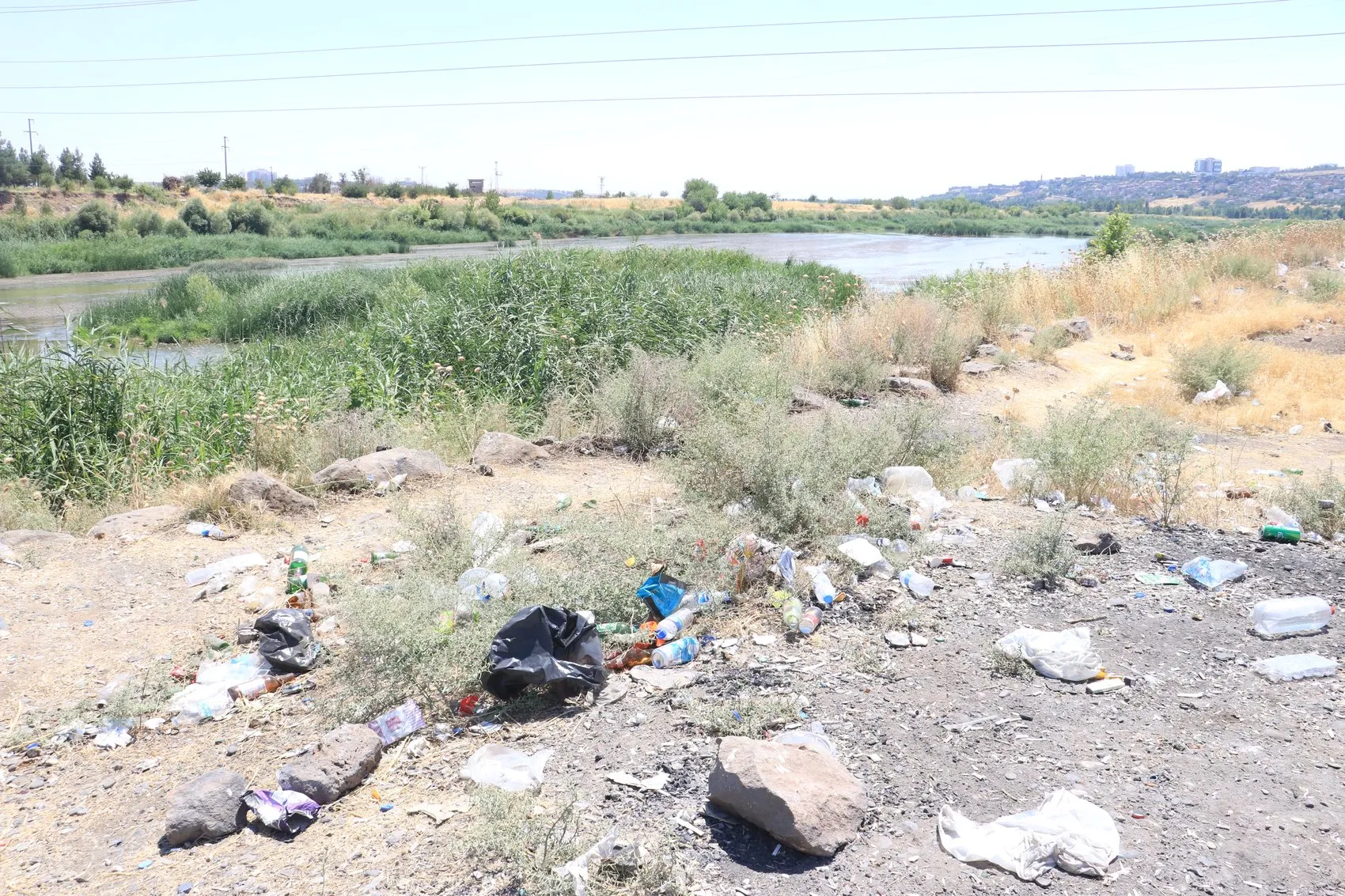 Dicle Nehri kıyısındaki plastik atıklar doğaya ve canlılara zarar veriyor