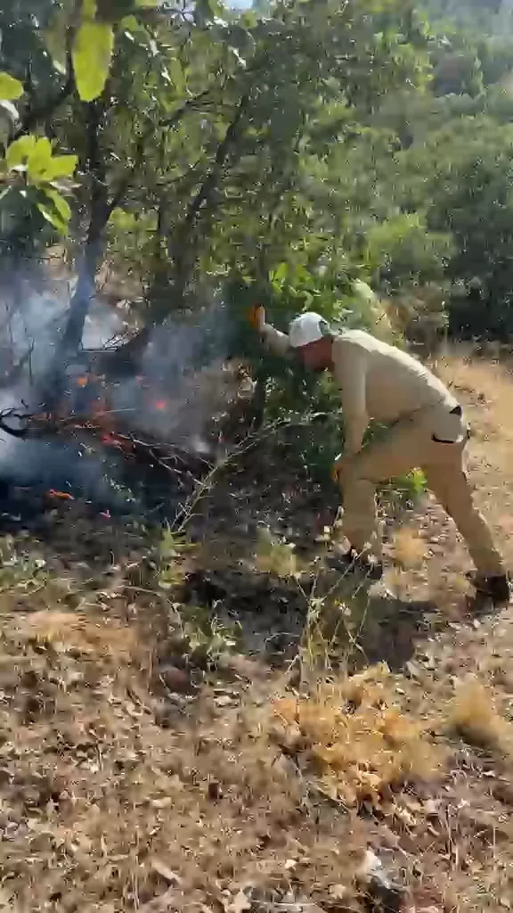 Eruhlu orman işçileri yangın söndürme görevinden düğün halayına geçti