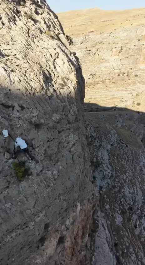 Batmanlı öğretmen yüzlerce metre yükseklikte kaya balı topluyor