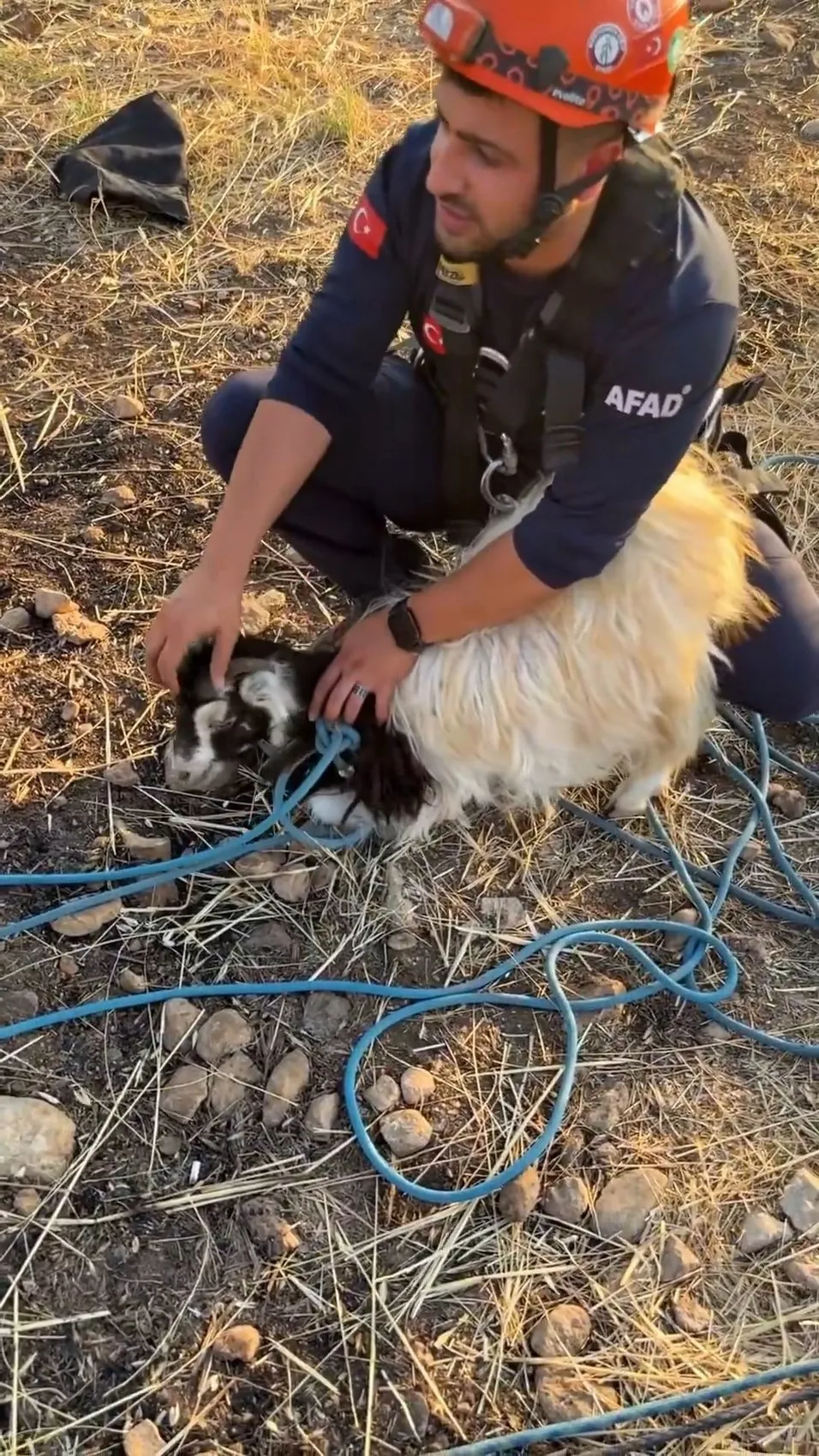 Kışlacık köyündeki obrukta kalan keçi AFAD sayesinde sahibine döndü
