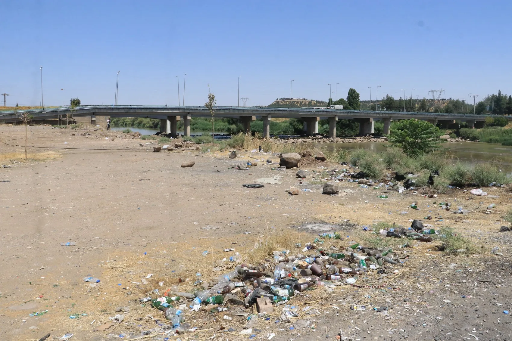 Dicle Nehri kıyısındaki plastik atıklar doğaya ve canlılara zarar veriyor