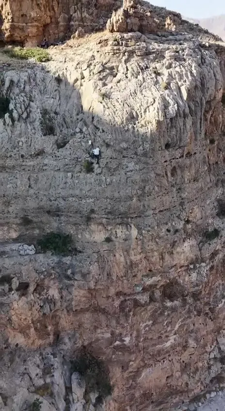 Batmanlı öğretmen yüzlerce metre yükseklikte kaya balı topluyor
