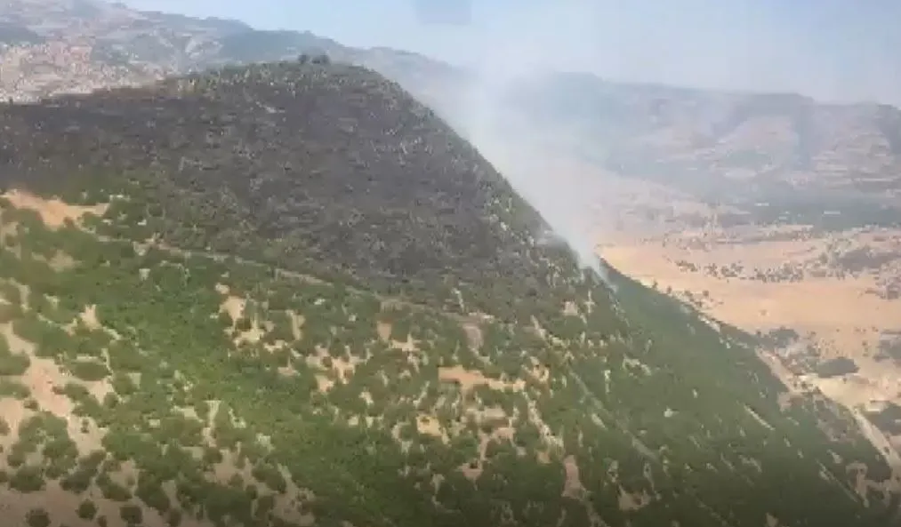 Karakoçan bölgesindeki orman yangını havadan ve karadan müdahaleyle söndürüldü