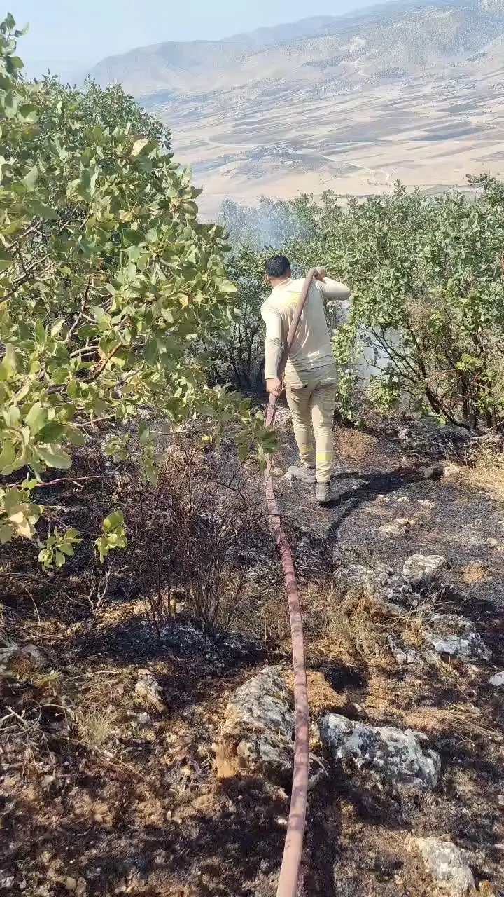Eruhlu orman işçileri yangın söndürme görevinden düğün halayına geçti