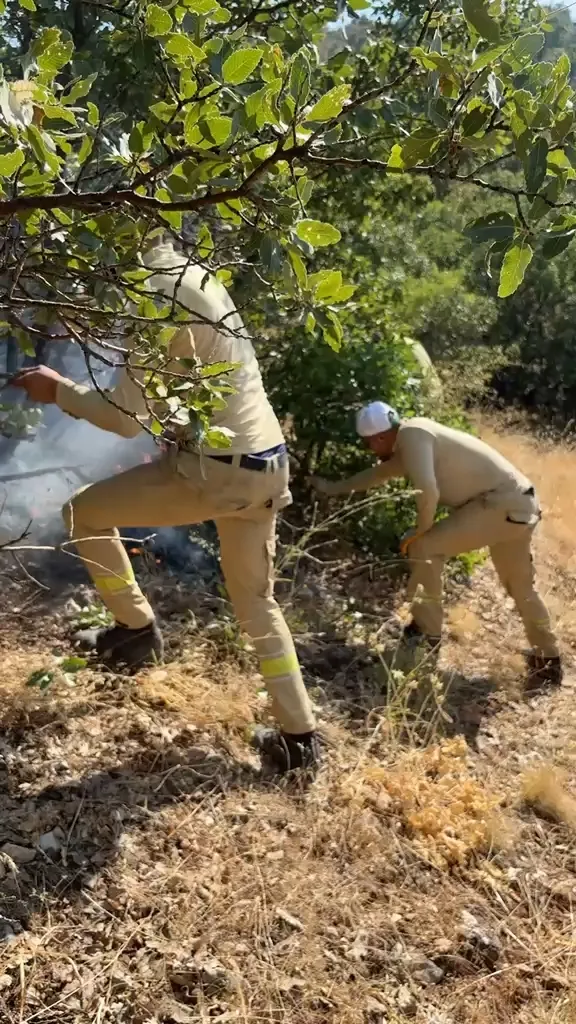 Eruhlu orman işçileri yangın söndürme görevinden düğün halayına geçti