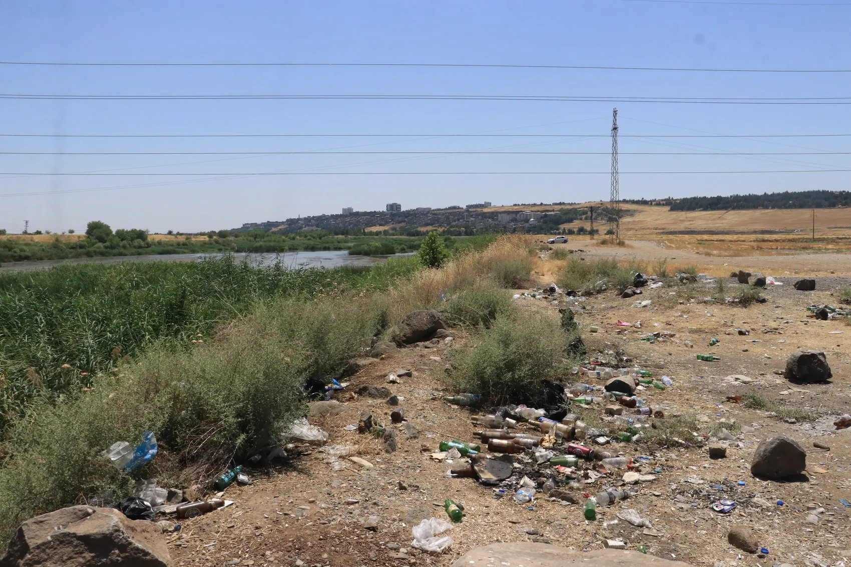 Dicle Nehri kıyısındaki plastik atıklar doğaya ve canlılara zarar veriyor