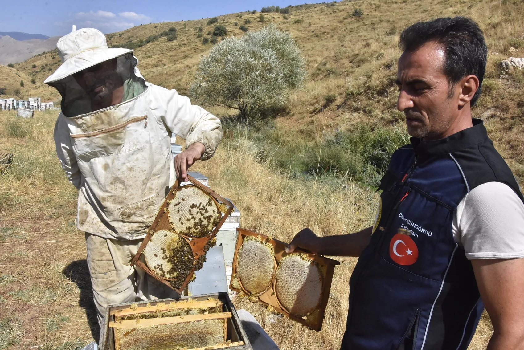 Bitlis yaylalarında bereketli bal hasadı dönemi başladı