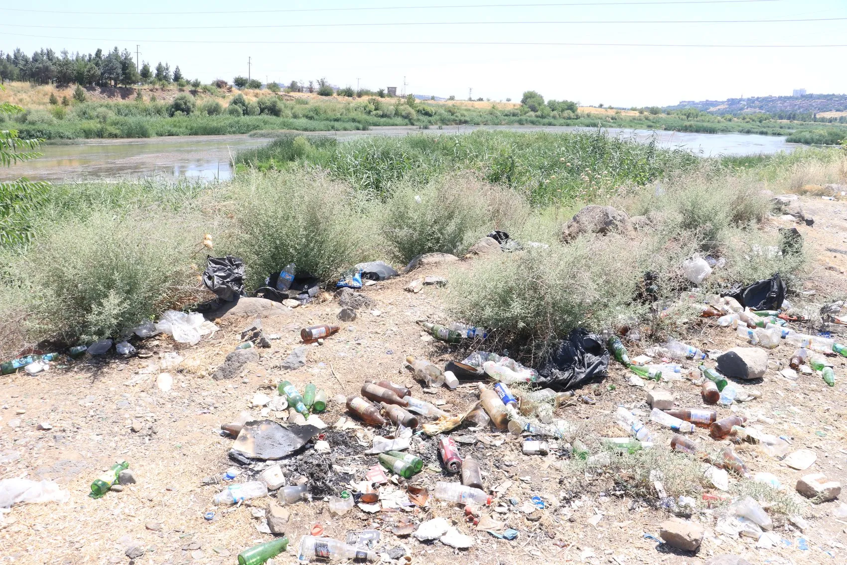 Dicle Nehri kıyısındaki plastik atıklar doğaya ve canlılara zarar veriyor