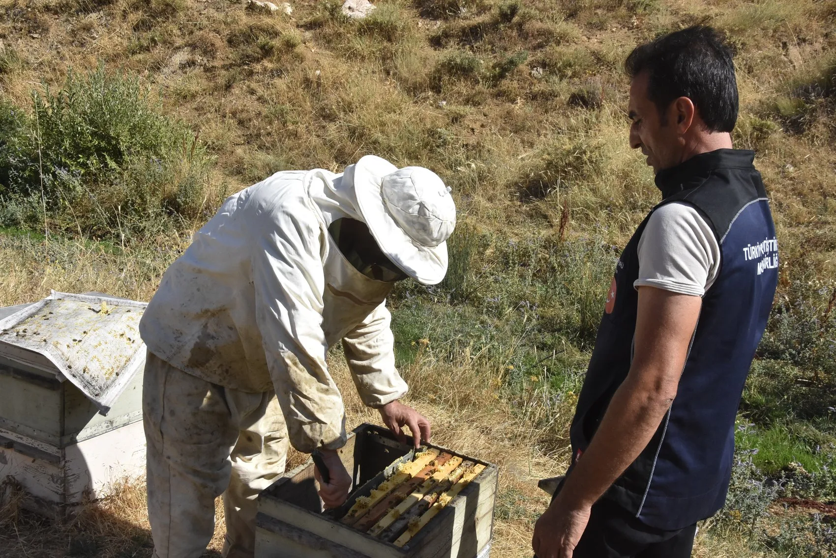 Bitlis yaylalarında bereketli bal hasadı dönemi başladı