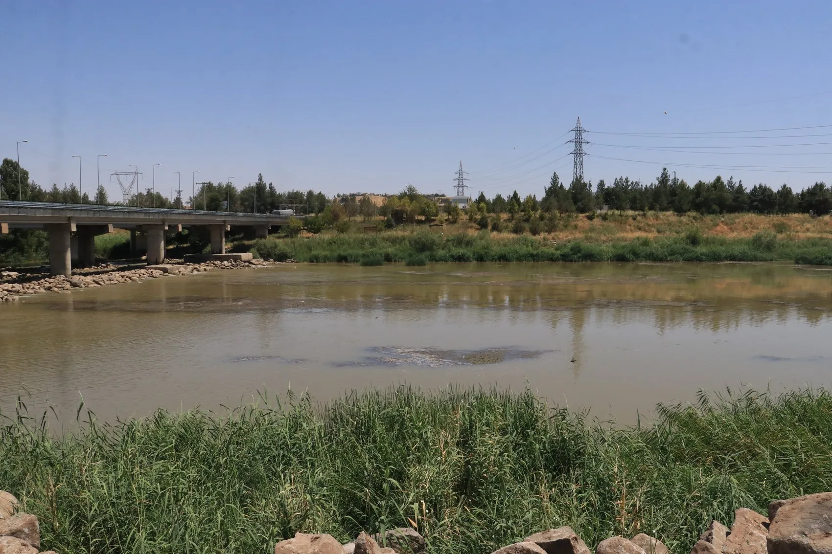 Dicle Nehri kıyısındaki plastik atıklar doğaya ve canlılara zarar veriyor