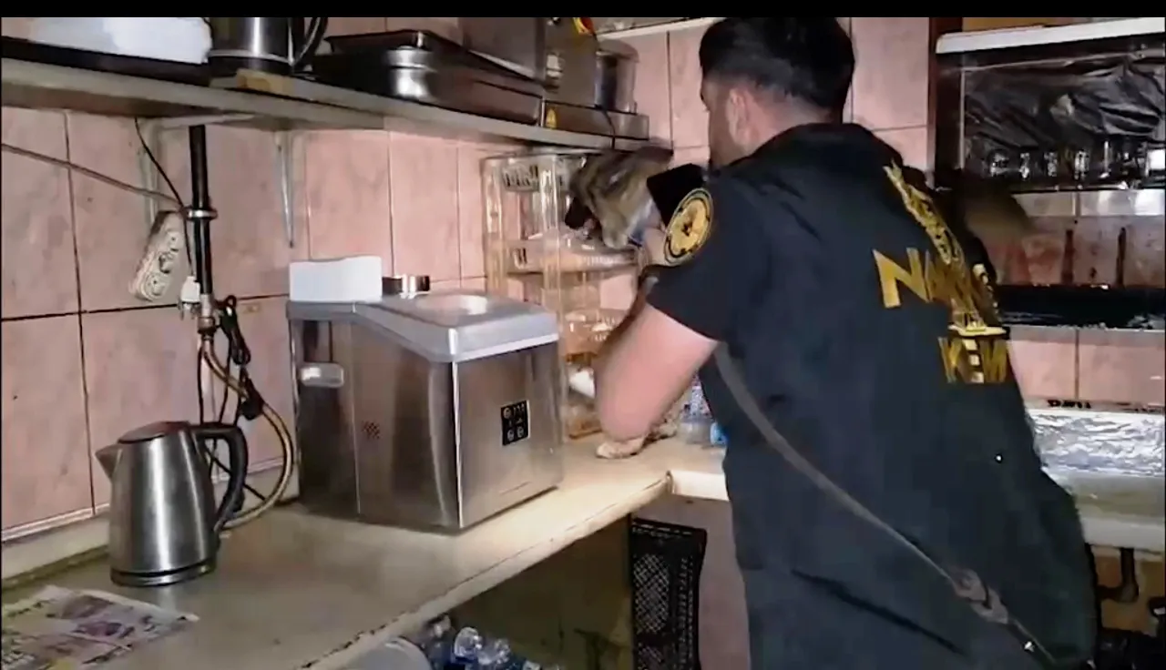 Bitlis ve Tatvan merkezli narkotik operasyonunda 11 kişi cezaevine gönderildi