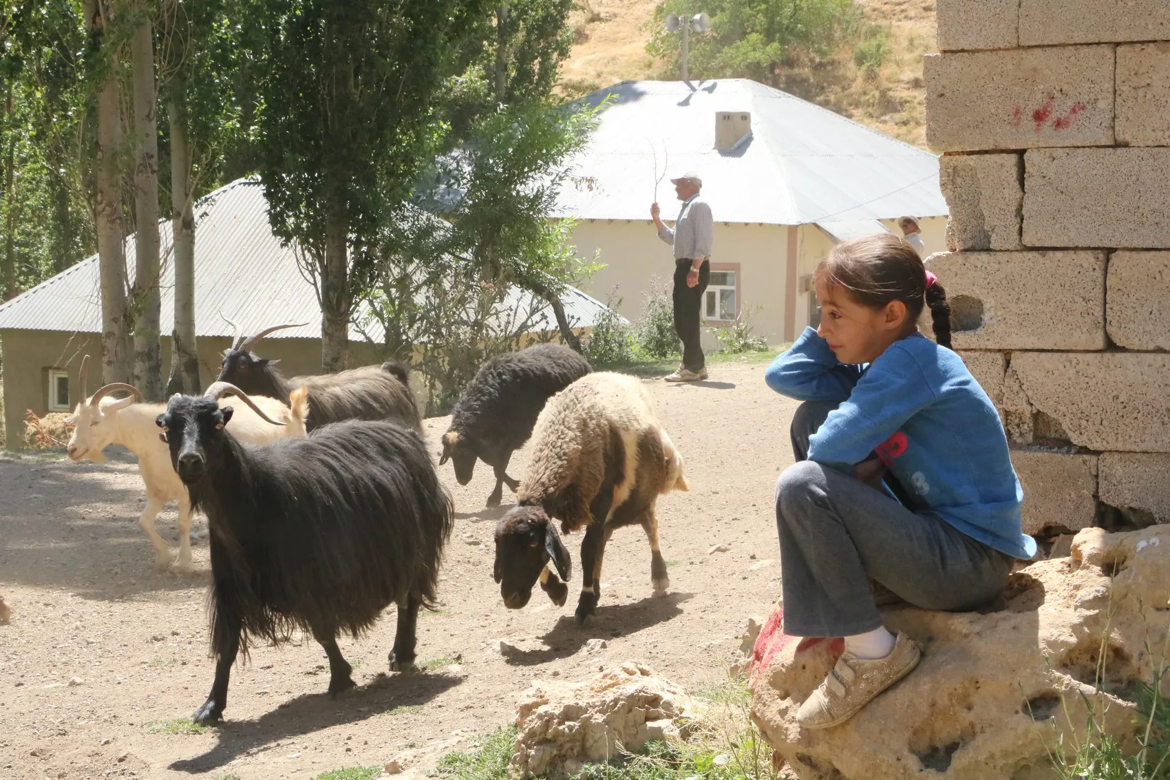 Yüksekova Gedikli mezrasında susuz kalan besiciler çözüm bekliyor
